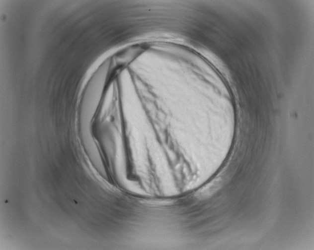 X0000080101296200701051255