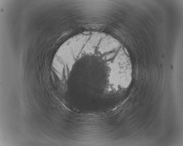 X0000080101297200701051254