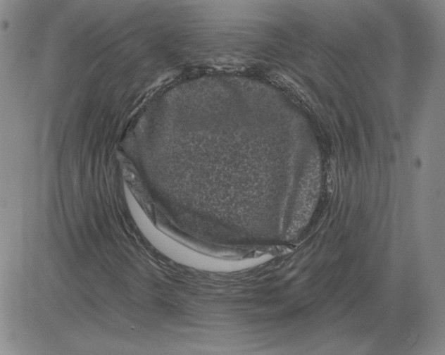 X0000080101298200701051254