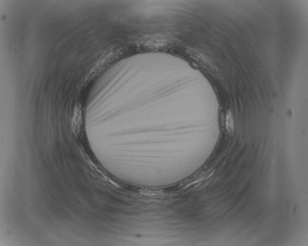 X0000080101299200701051254