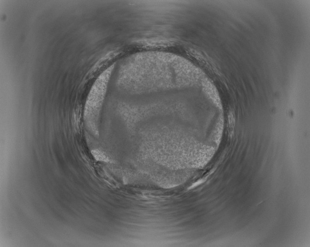 X0000080101300200701051254