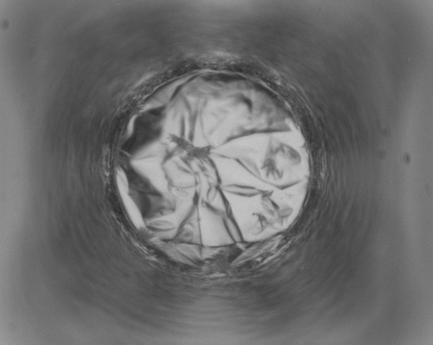 X0000080101301200701051254