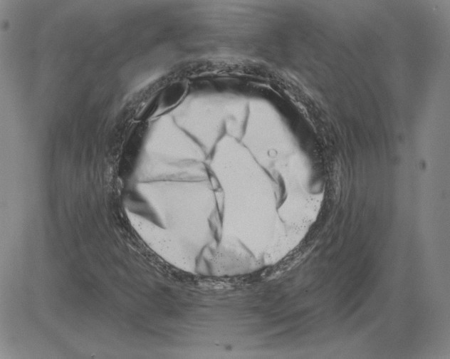 X0000080101302200701051254