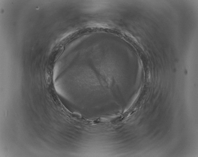 X0000080101303200701051254