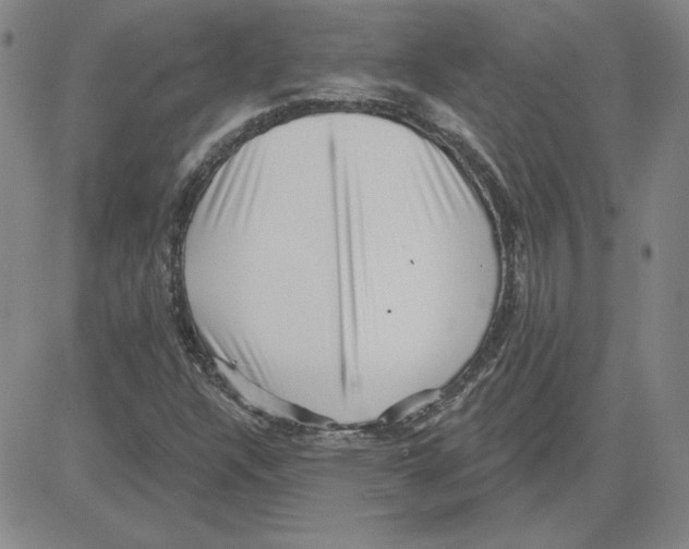 X0000080101304200701051255