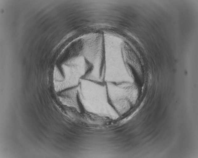 X0000080101305200701051255