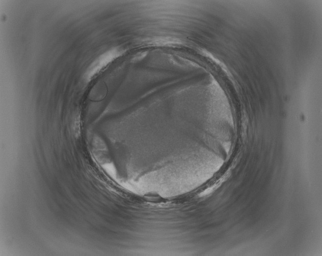 X0000080101306200701051255