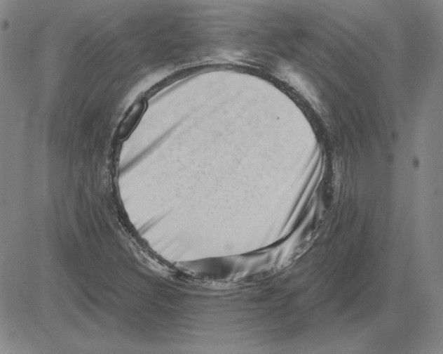 X0000080101308200701051255