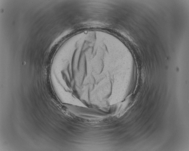 X0000080101309200701051255