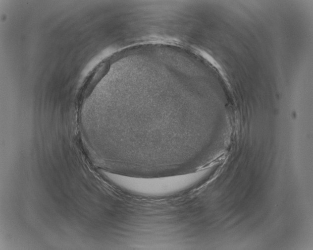 X0000080101310200701051255