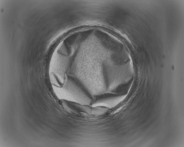 X0000080101311200701051255