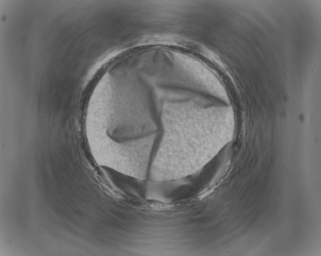 X0000080101312200701051255