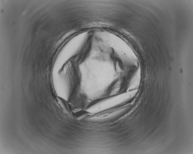 X0000080101313200701051255