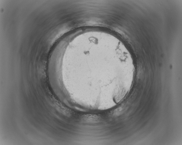 X0000080101314200701051255