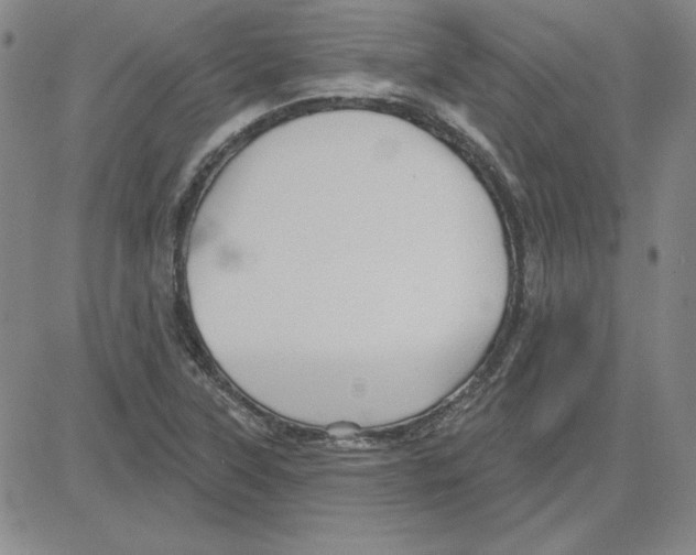 X0000080101315200701051255