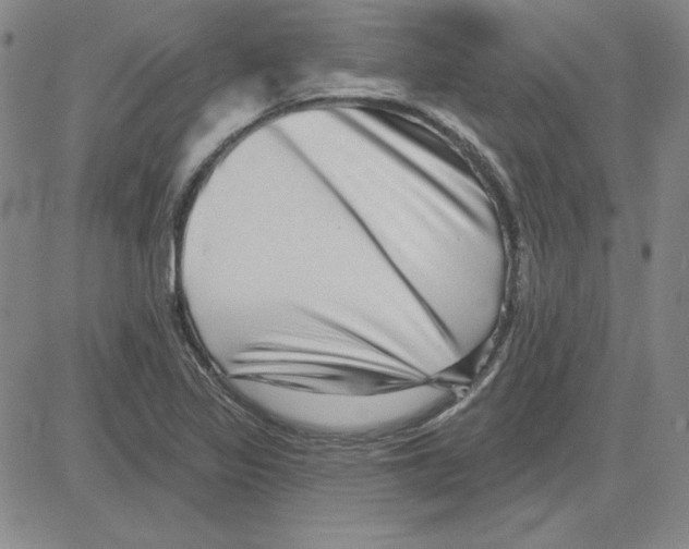 X0000080101317200701051255