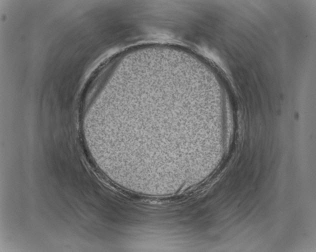 X0000080101318200701051255