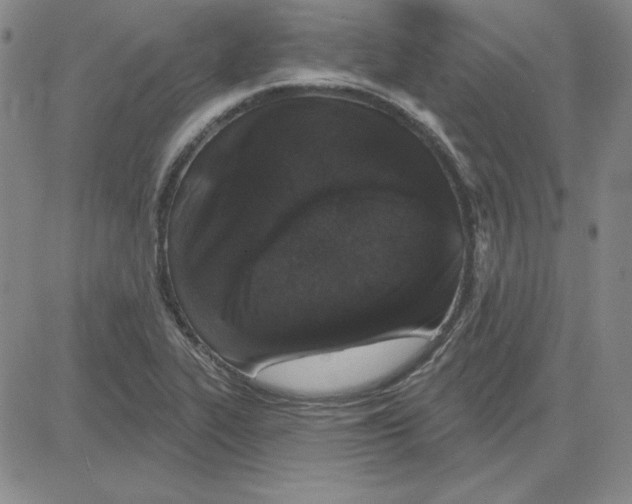 X0000080101319200701051255