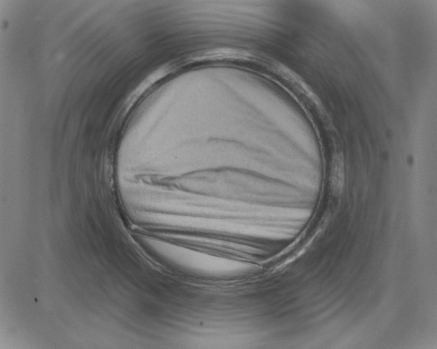 X0000080101321200701051255