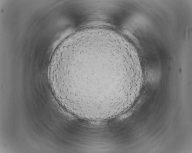 X0000080101322200701051255