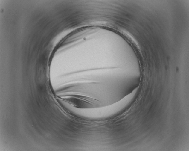 X0000080101324200701051255