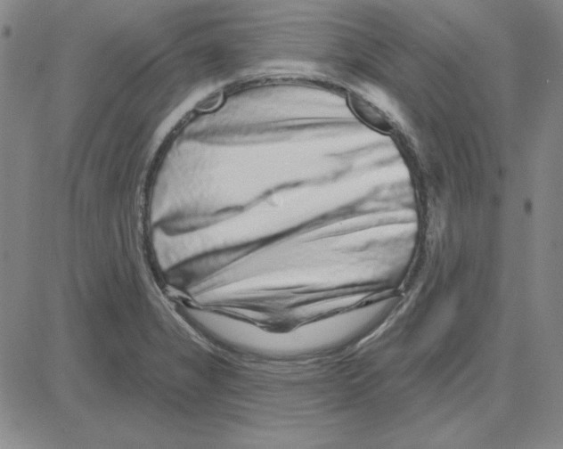 X0000080101325200701051255