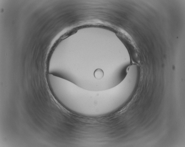 X0000080101326200701051255