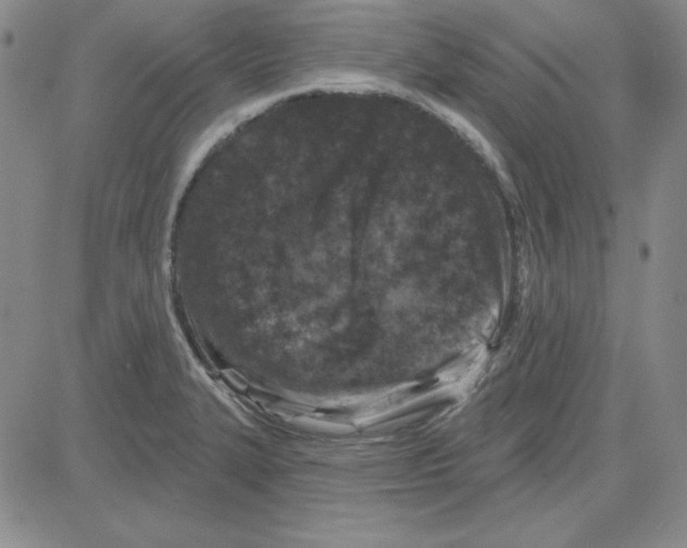 X0000080101327200701051255