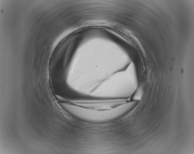 X0000080101328200701051255