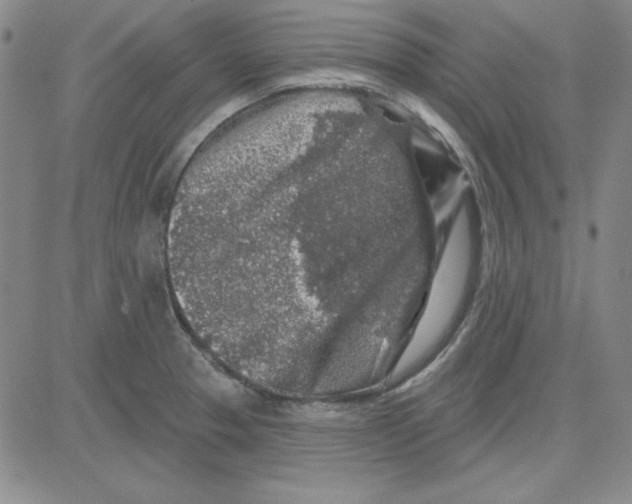 X0000080101329200701051255