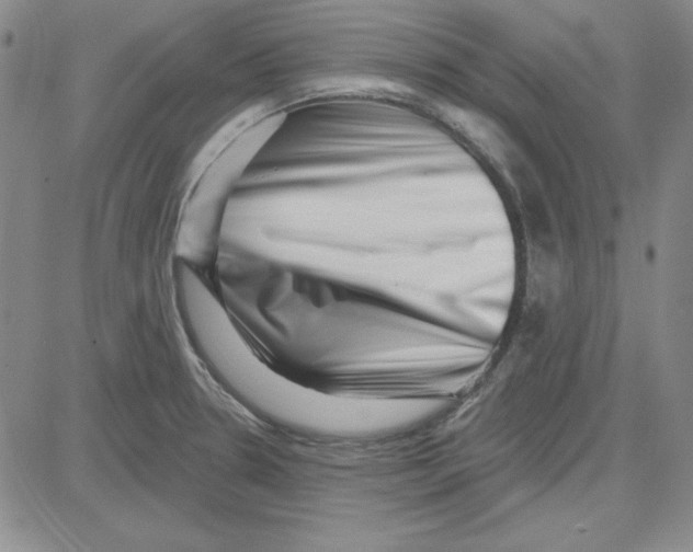 X0000080101330200701051255