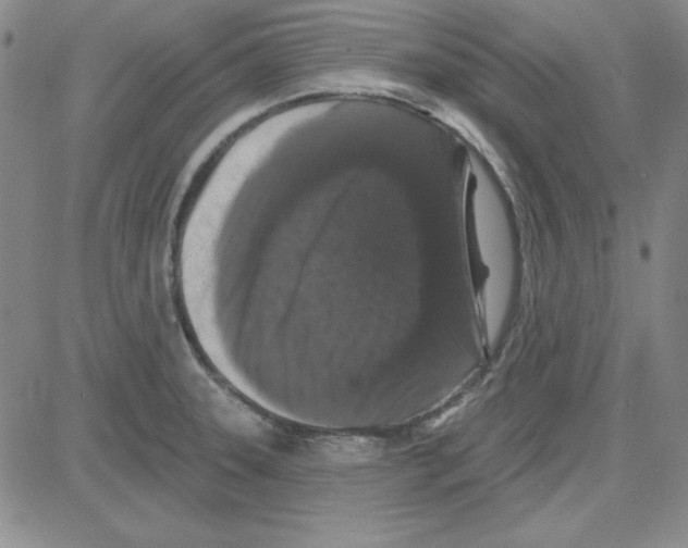 X0000080101331200701051255