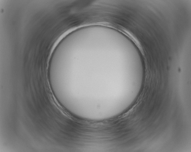 X0000080101332200701051255