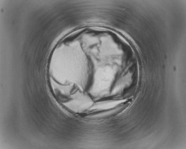 X0000080101333200701051255