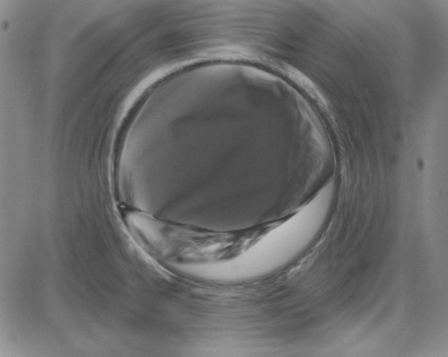 X0000080101334200701051255