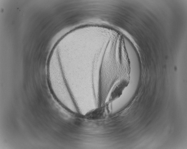 X0000080101335200701051255