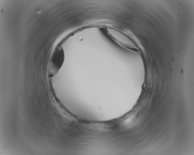 X0000080101336200701051255