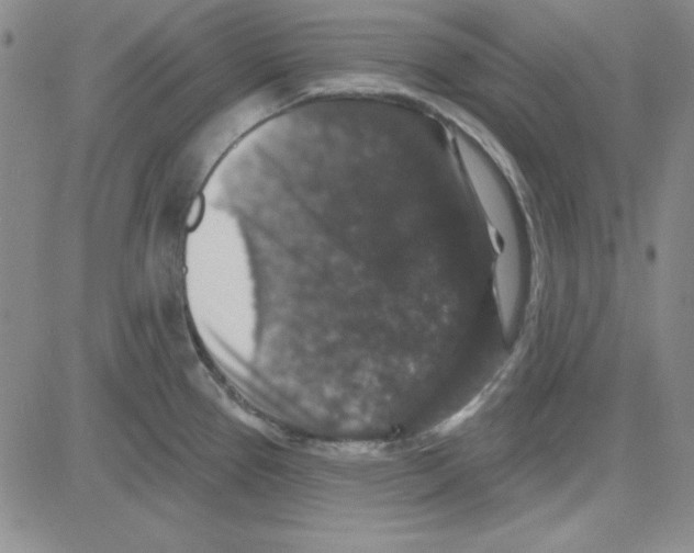 X0000080101337200701051255