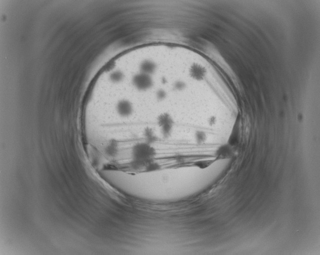 X0000080101339200701051255