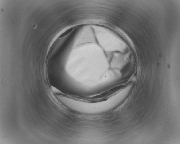 X0000080101340200701051255