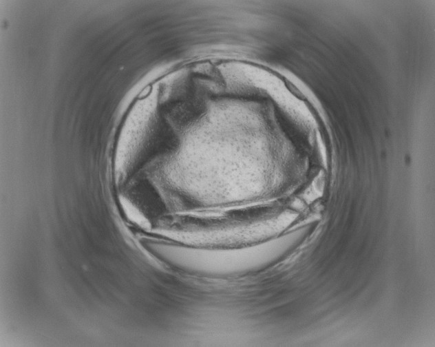 X0000080101341200701051255