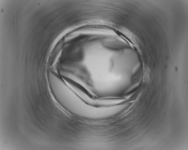 X0000080101342200701051255