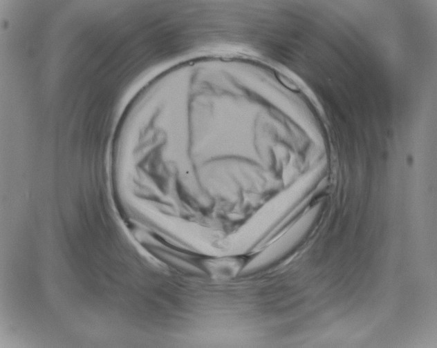 X0000080101343200701051255