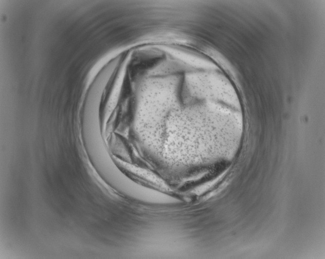 X0000080101344200701051255