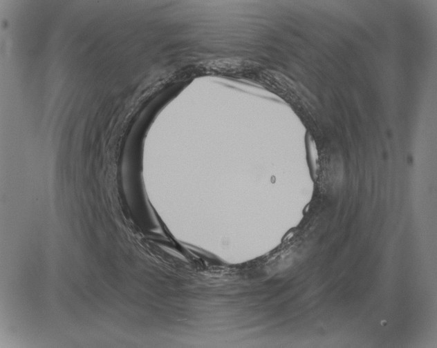 X0000080101345200701051254