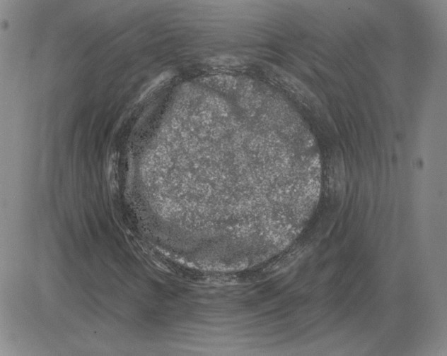 X0000080101346200701051254