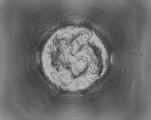 X0000080101347200701051254