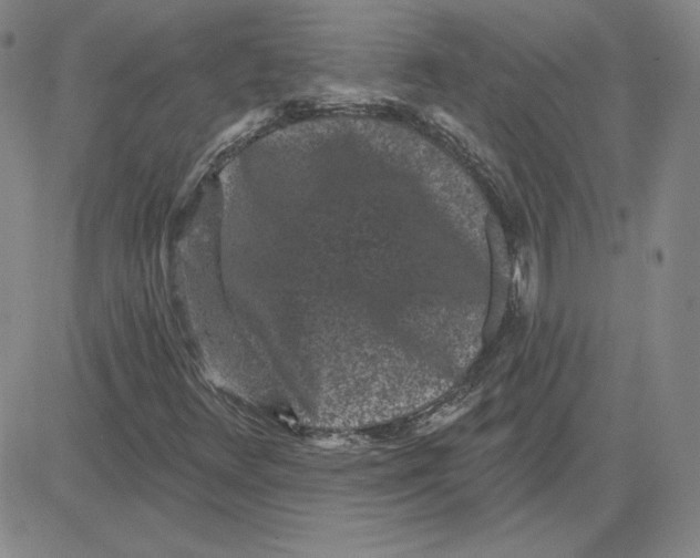 X0000080101348200701051254