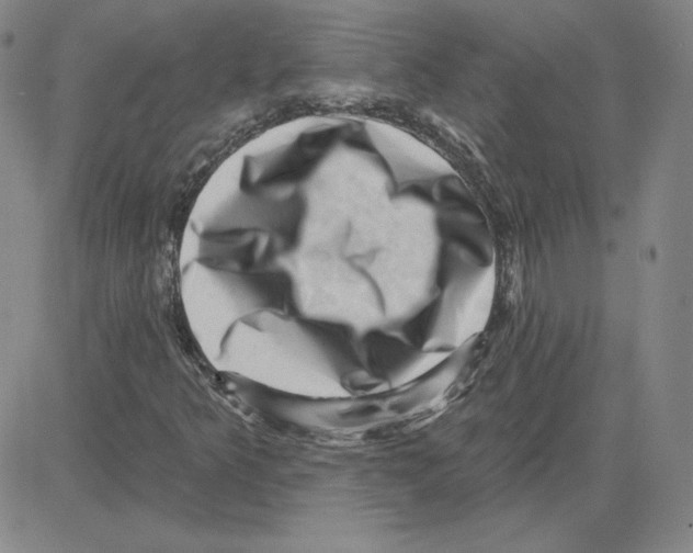 X0000080101349200701051254