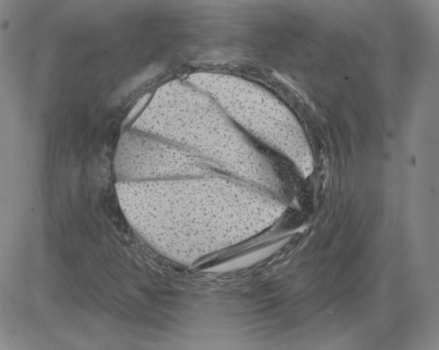 X0000080101350200701051254